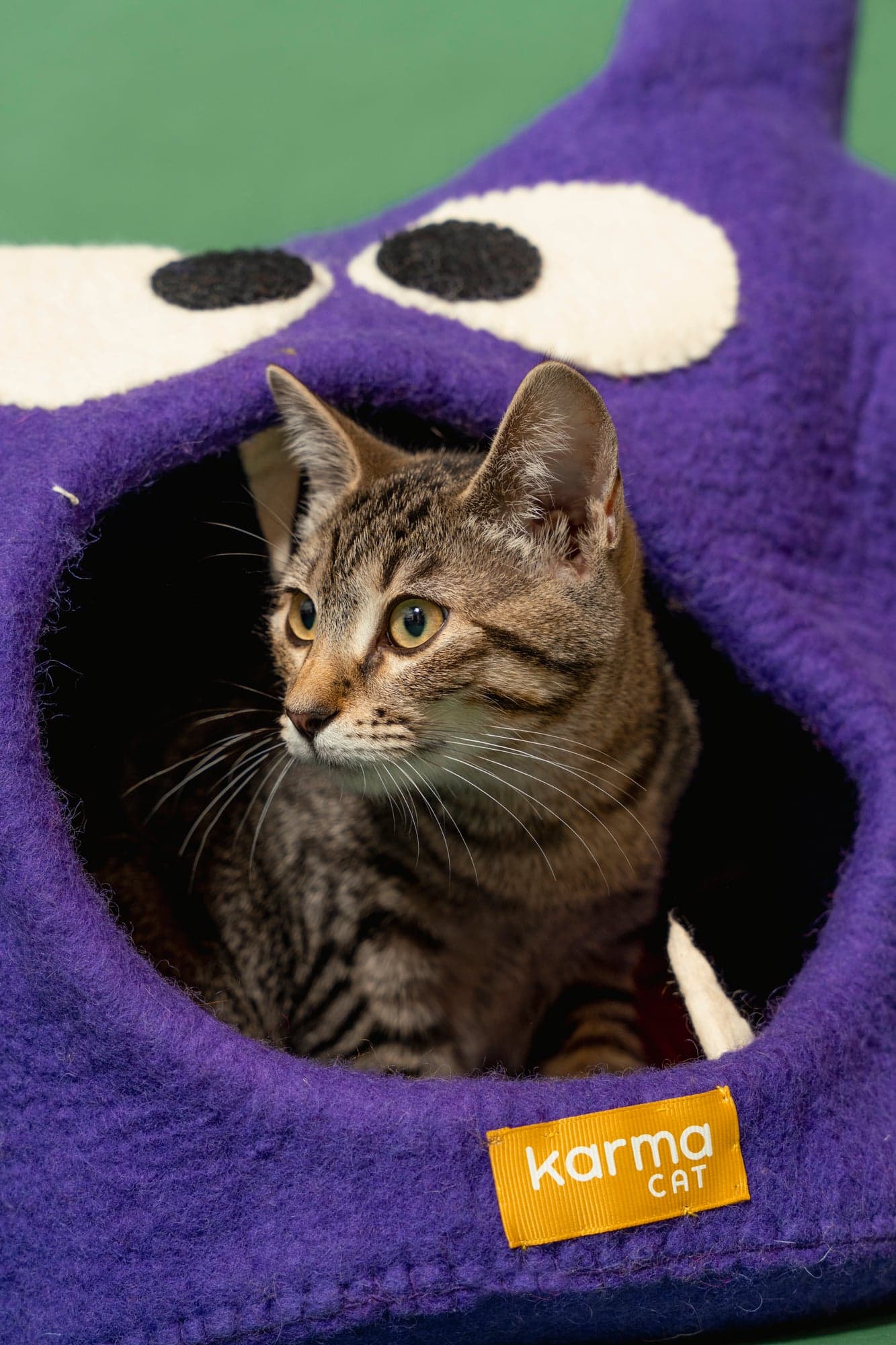 Cool Cat Collective — photo 21