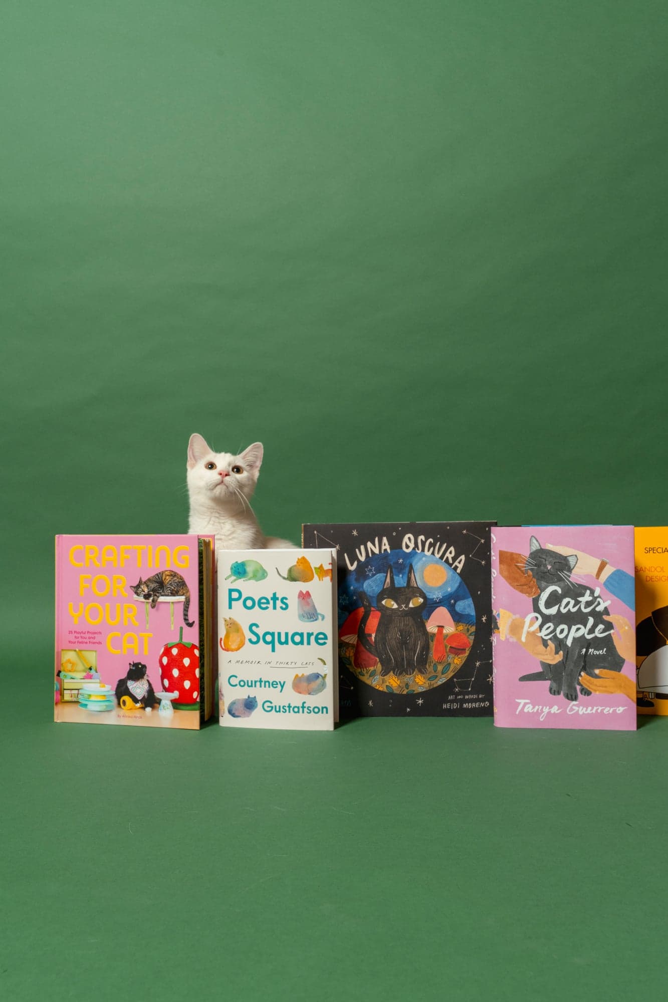 Cool Cat Collective — photo 23