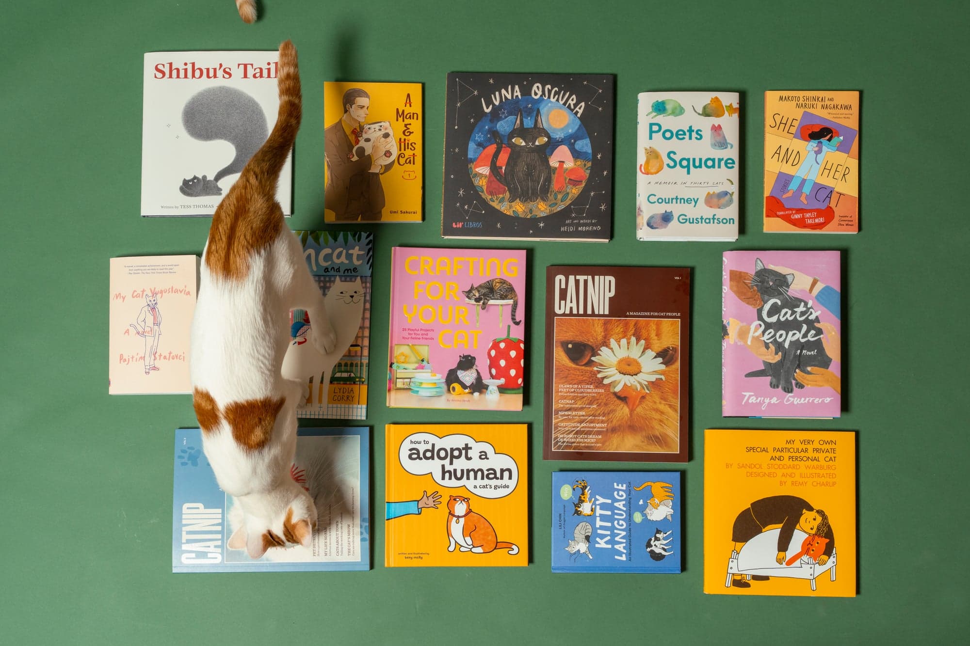 Cool Cat Collective — photo 24