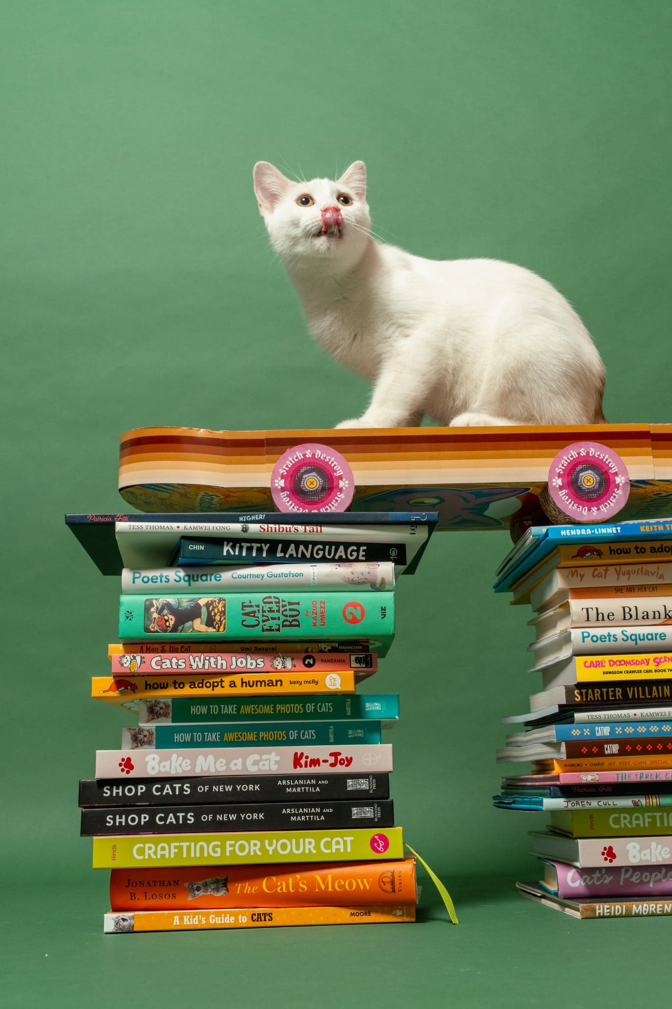Cool Cat Collective — photo 25
