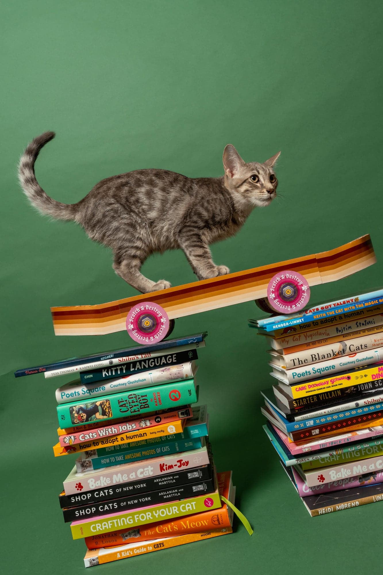 Cool Cat Collective — photo 27
