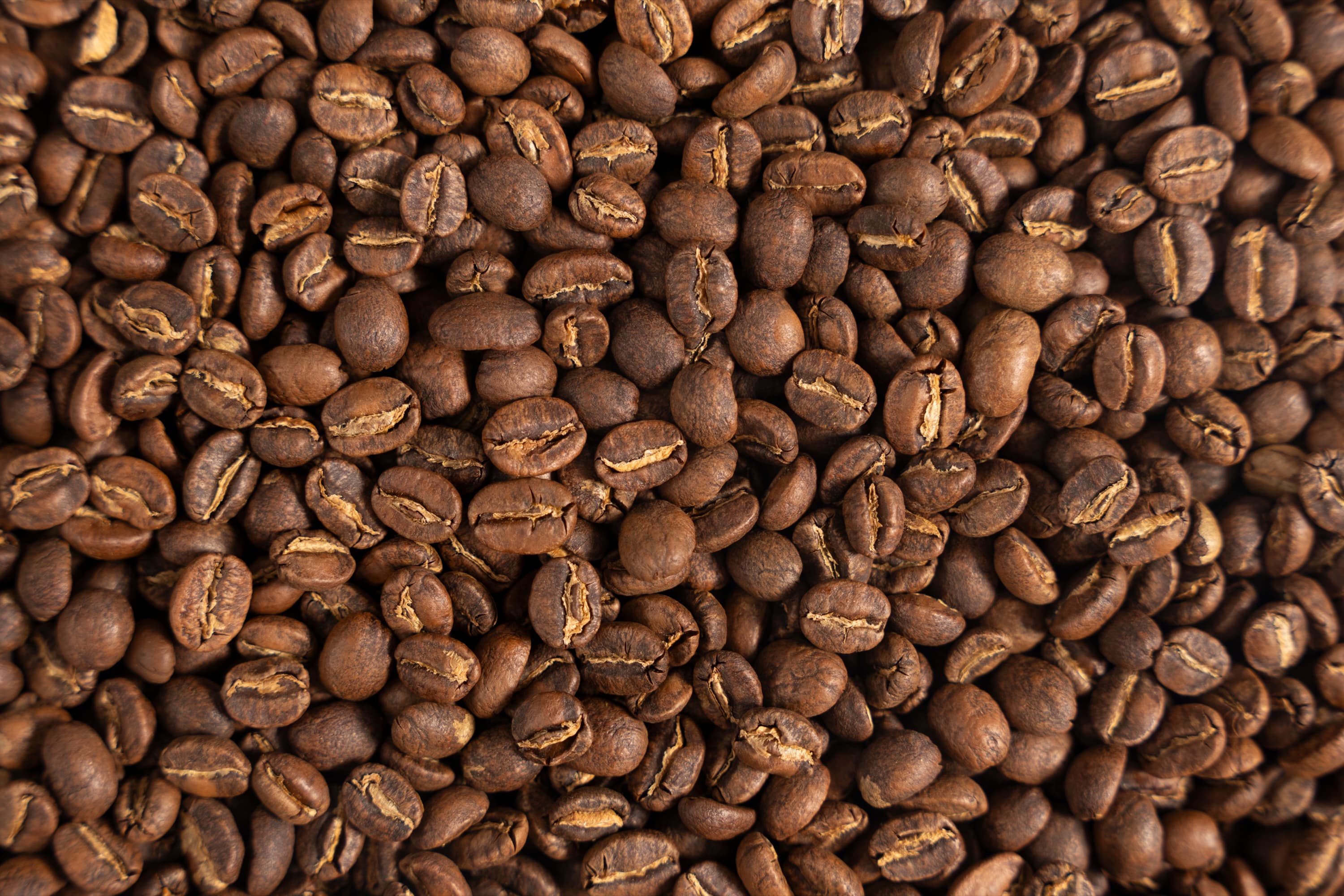Anomaly Coffee Co — photo 1